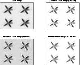 \begin{figure}
\par\includegraphics[width=14cm,clip]{0754Fg6.eps}
\end{figure}