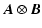 $\displaystyle \vec{A}\otimes \vec{B}$