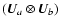 $(\vec{U}_a \otimes \vec{U}_b)$