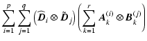 $\displaystyle \sum_{i=1}^p\sum_{j=1}^q \left(\widehat{\vec{D}}_i \otimes \tilde...
...}}_j\right)
\left( \sum_{k=1}^r \vec{A}_k^{(i)} \otimes \vec{B}_k^{(j)} \right)$