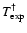 $T_{\exp}^{\dagger}$