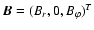 ${\vec B}=(B_r,0,B_{\varphi})^T$