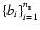 $\{b_i\}^{n_{\rm s}}_{i=1}$