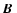 $\mbox{\boldmath$B$ }$