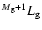 ${}^{M_{\rm g}+1}L_{\rm g}$