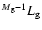 ${}^{M_{\rm g}-1}L_{\rm g}$