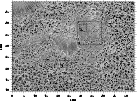 \begin{figure}
\par\includegraphics[width=12cm,clip]{2561fig4.eps}
\end{figure}