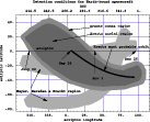 \begin{figure}
\par\includegraphics[width=12cm,clip]{1169f3.eps}\end{figure}