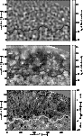 \begin{figure}
\par\includegraphics[width=8cm,clip]{gfx/2159fig3.eps}\end{figure}