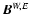 ${\vec B}^{W,E}$