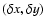 $(\delta x, \delta y)$