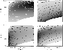 \begin{figure}
\par\includegraphics[height=6.4cm,width=8.1cm,clip]{1596fig3.eps}
\end{figure}