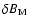 $\delta B_{\rm M}$