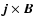 $\vec{j} \times {\vec B}$