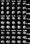 \begin{figure}
\par\includegraphics[width=8.8cm,clip]{h2447f17.eps}
\end{figure}