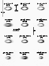 \begin{figure}
\par\includegraphics[width=8.8cm,clip]{h2447f3.ps}
\end{figure}