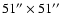 $51''\times51''$