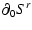 $\displaystyle \partial_0 {S^r}$