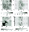 \begin{figure}
\par\includegraphics[width=8.8cm,clip]{2716f3.eps}
\end{figure}