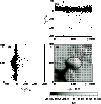 \begin{figure}
\par\includegraphics[width=8.8cm,clip]{2716f8.eps}
\end{figure}