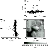 \begin{figure}
\par\includegraphics[width=8.8cm,clip]{2716f10.eps}
\end{figure}