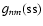 $g_{nm}({\rm ss})$
