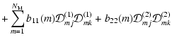 $\displaystyle +\sum_{m=1}^{N_{\rm M}}b_{11}(m)\mathcal{D}^{(1)}_{mj}\mathcal{D}^{(1)}_{mk} +
b_{22}(m)\mathcal{D}^{(2)}_{mj}\mathcal{D}^{(2)}_{mk}$
