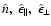 $\hat{n},~
\hat{\epsilon}_{\parallel},~\hat{\epsilon}_{\perp}$