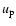 $u_{\rm p}$