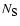 $N_{\hbox {\sc s}}$