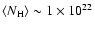 $\langle {N_{\rm H}}\rangle \sim 1 \times 10^{22}$