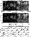 \begin{figure}
\par\includegraphics[width=8.8cm,clip]{2578Fig5.eps} \end{figure}