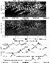 \begin{figure}
\par\includegraphics[width=8.8cm,clip]{2578Fig6.eps} \end{figure}
