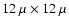 $12 ~\mu \times 12~
\mu$