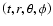 $\left( t, r,\theta, \phi \right)$