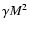 $\gamma M^{2}$