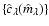 $\left\lbrace \hat
c_\lambda(\hat m_\lambda)\right\rbrace $