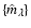 $\{ \hat m_\lambda \}$