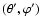 ${(\theta', \varphi')}$