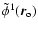 $\tilde{\phi}^1(\vec{r}_{\rm o})$