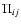 $\Pi_{ij}$