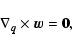 \begin{displaymath}%
\nabla_{\vec{q}}\times {\vec{w}}= {\vec{0}},
\end{displaymath}