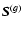 ${\vec S}^{(g)}$