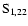 ${\rm S}_{1,22}$