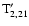 ${\rm T}'_{2,21}$