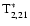 ${\rm T}^{*}_{2,21}$