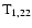 ${\rm T}_{1,22}$
