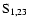 ${\rm S}_{1,23}$