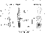 \begin{figure}
\par\includegraphics[width=7.8cm,clip]{2407fig3.eps}
\end{figure}