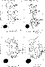 \begin{figure}
\par\includegraphics[width=7.8cm,clip]{2407fig4.eps}
\end{figure}